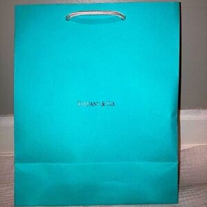 Medium large Tiffany & Co. Bag
